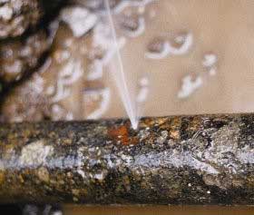 Pinhole Pipe Leak in San Diego